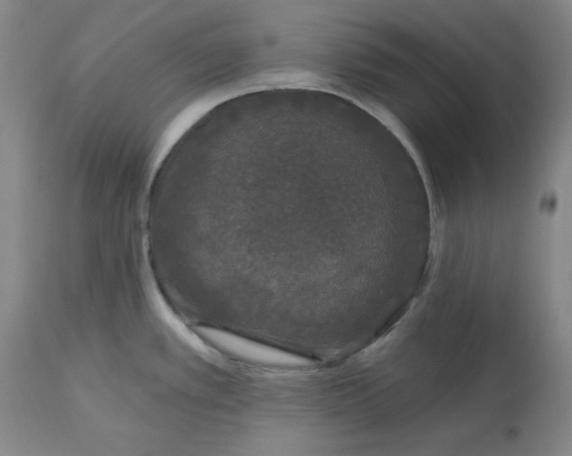 X0000112801389200909111225