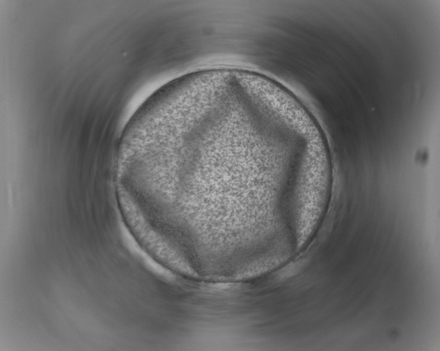 X0000112801390200909111225