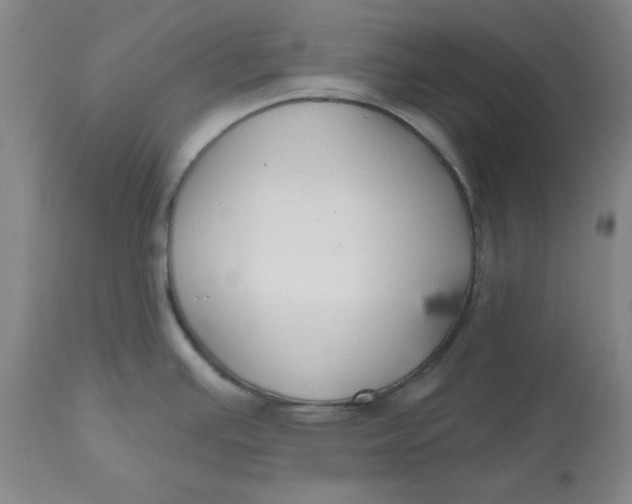 X0000112801391200909111225