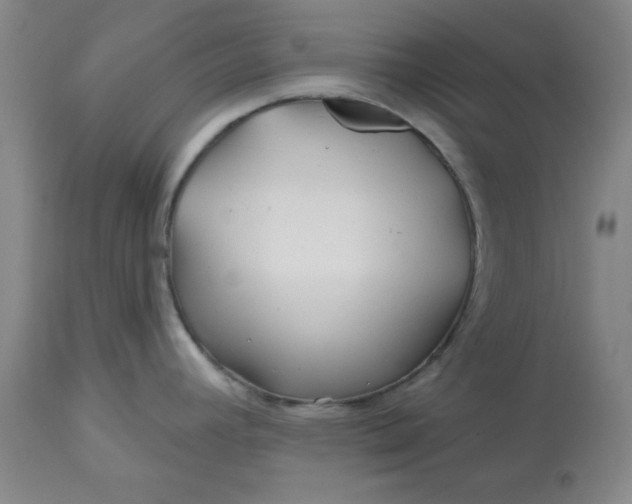 X0000112801392200909111225