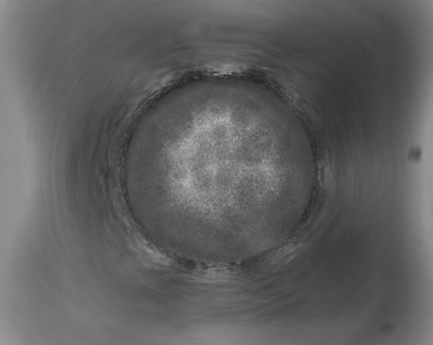 X0000112801393200909111224