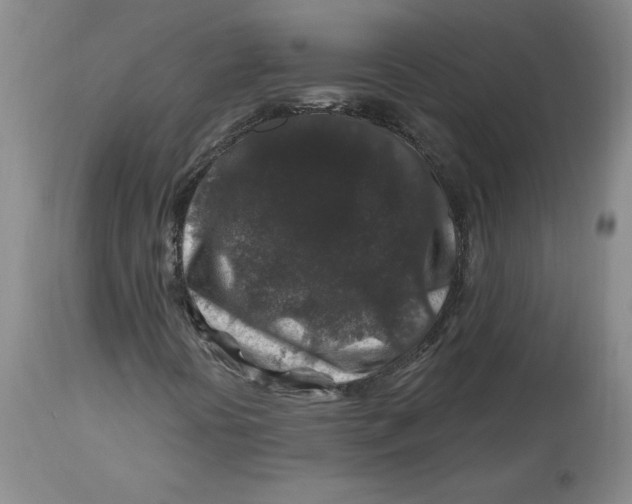 X0000112801394200909111224