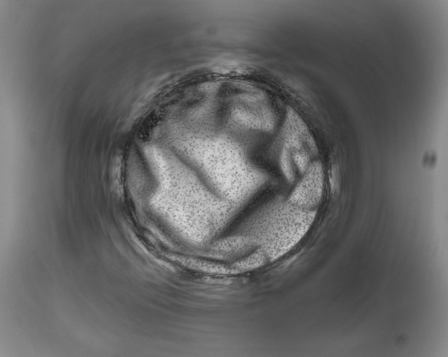 X0000112801396200909111224