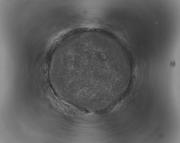 X0000112801398200909111224