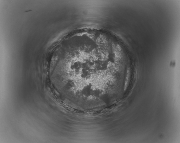 X0000112801399200909111224