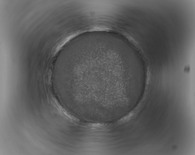 X0000112801401200909111224