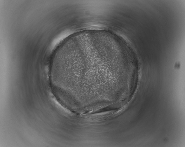 X0000112801402200909111224