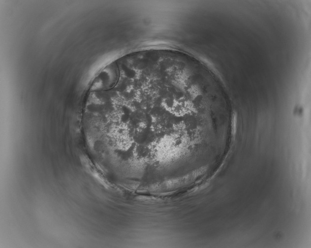 X0000112801405200909111225