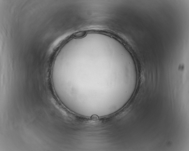 X0000112801406200909111225