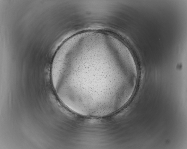 X0000112801409200909111225