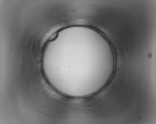 X0000112801410200909111225