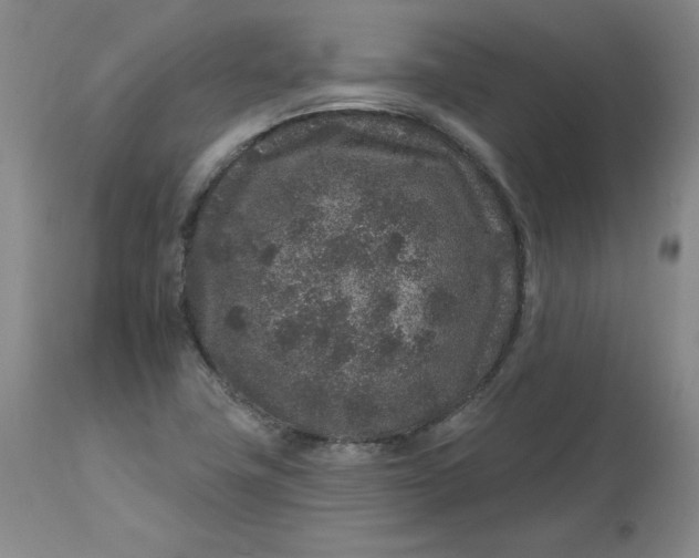 X0000112801411200909111225