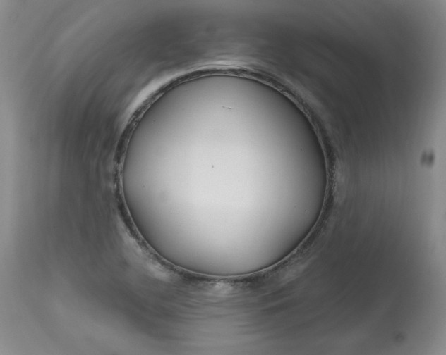 X0000112801412200909111225