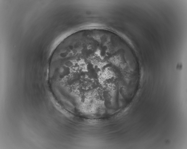 X0000112801413200909111225