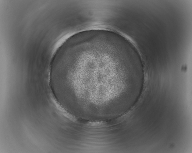 X0000112801415200909111225