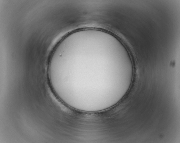 X0000112801416200909111225