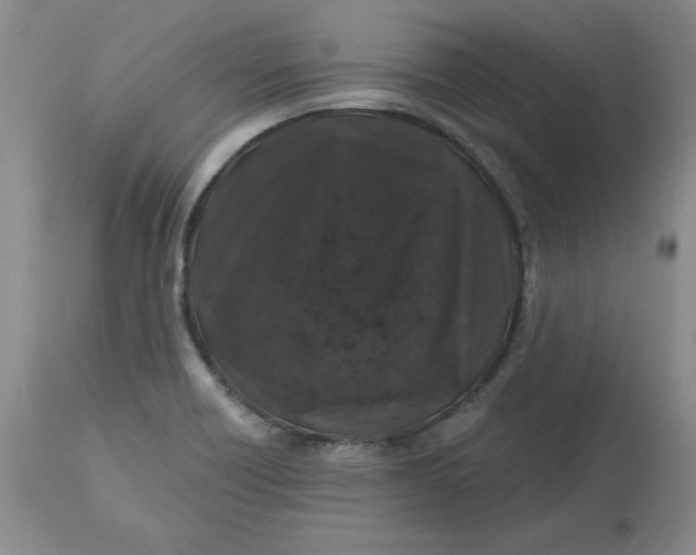 X0000112801418200909111225