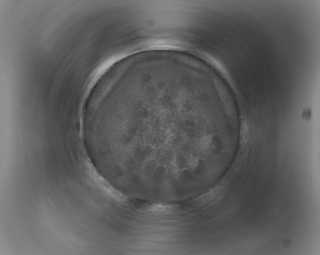 X0000112801419200909111225