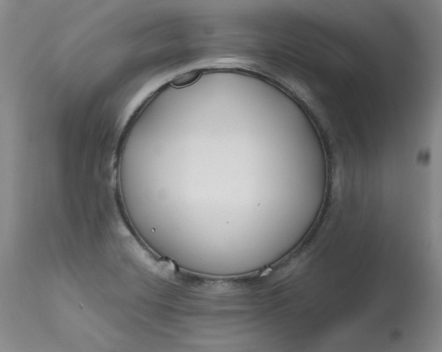 X0000112801420200909111225