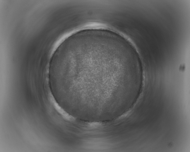 X0000112801421200909111225