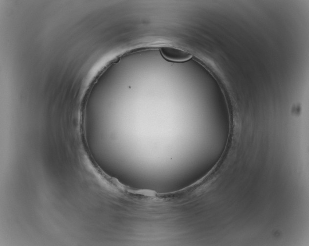 X0000112801424200909111225