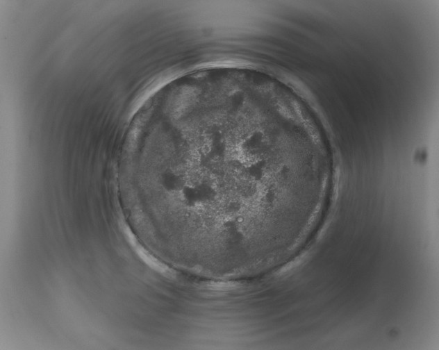 X0000112801425200909111225