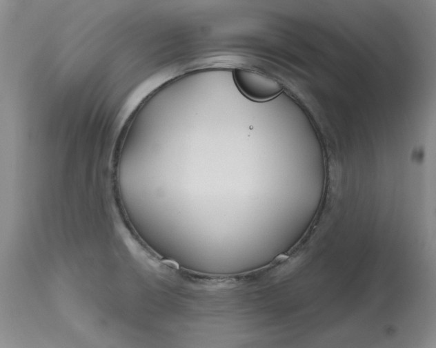 X0000112801426200909111225