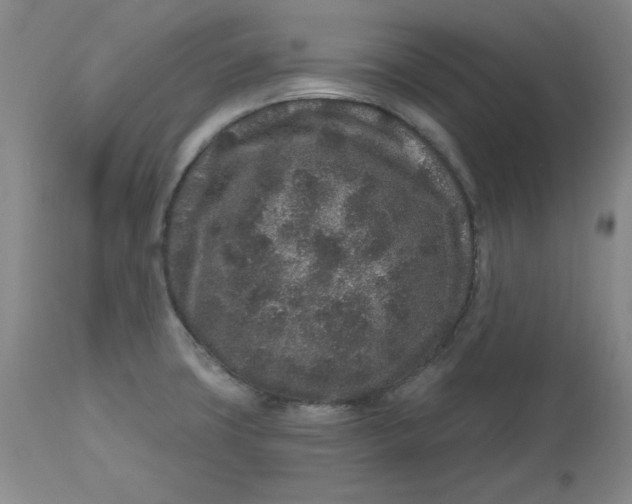 X0000112801427200909111225