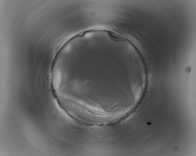 X0000112801428200909111225