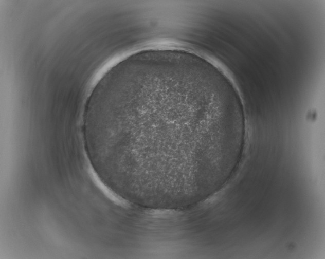 X0000112801429200909111225