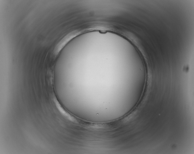 X0000112801433200909111225