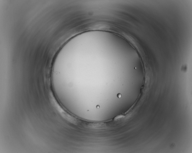 X0000112801434200909111225