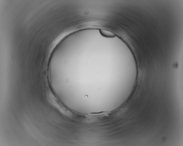 X0000112801435200909111225