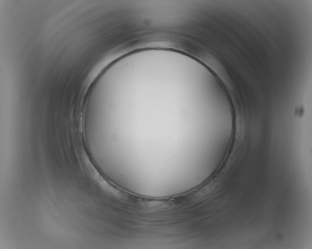 X0000112801436200909111225