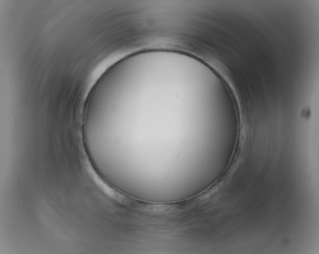 X0000112801437200909111225