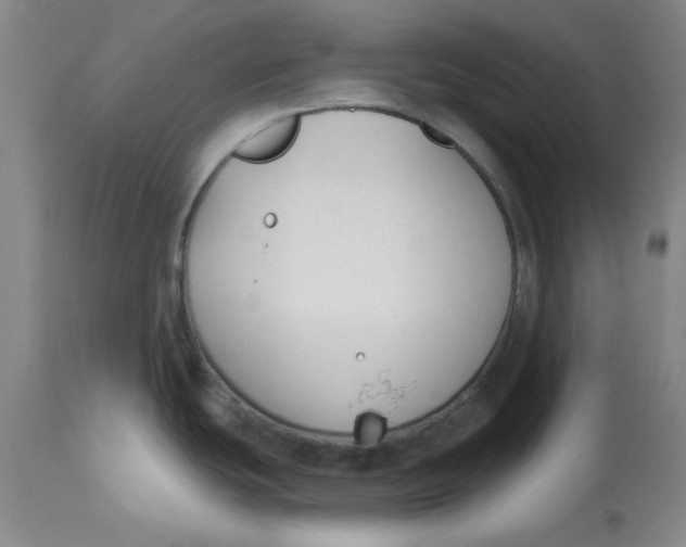 X0000112801439200909111225