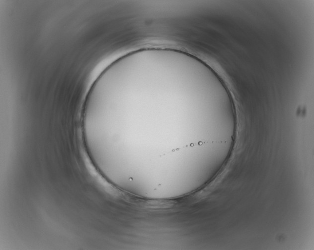 X0000112801440200909111225