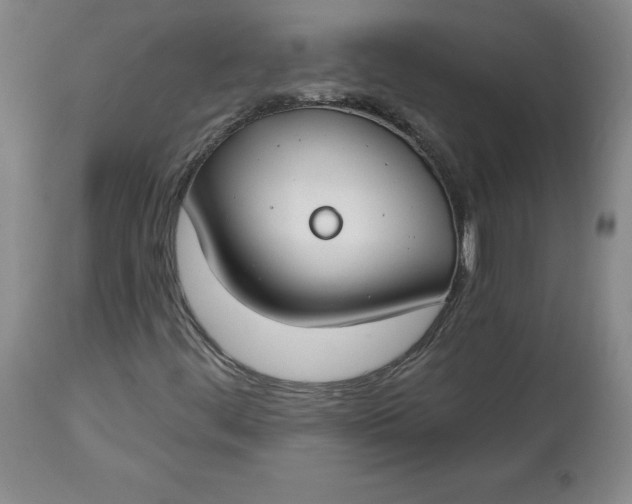 X0000112801444200909111224