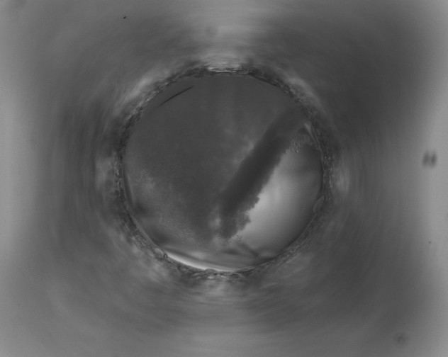 X0000112801445200909111224