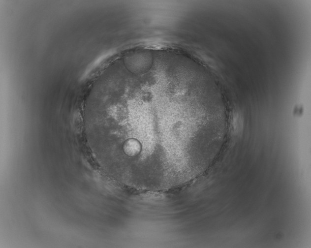 X0000112801446200909111224