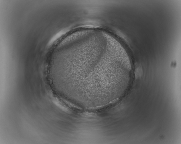 X0000112801448200909111224