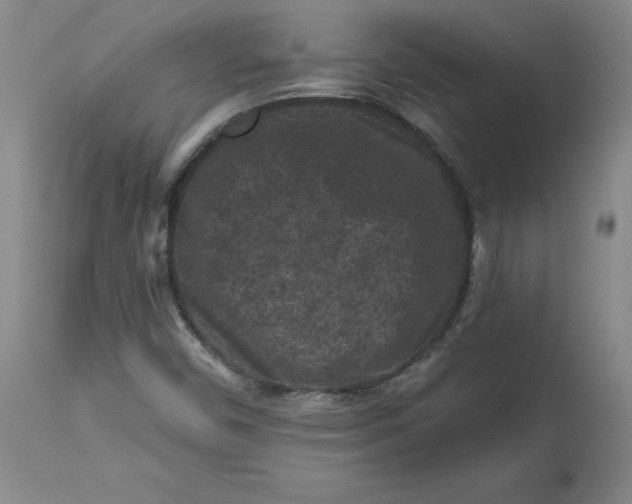 X0000112801450200909111224