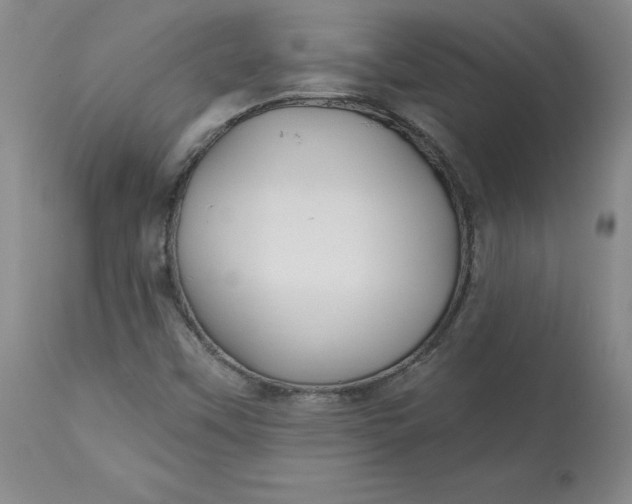 X0000112801451200909111224