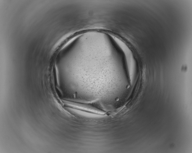 X0000112801452200909111224