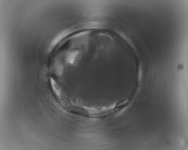 X0000112801453200909111224