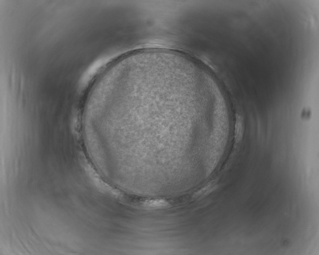 X0000112801454200909111224