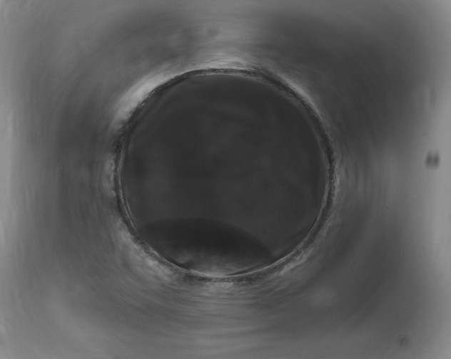 X0000112801455200909111224