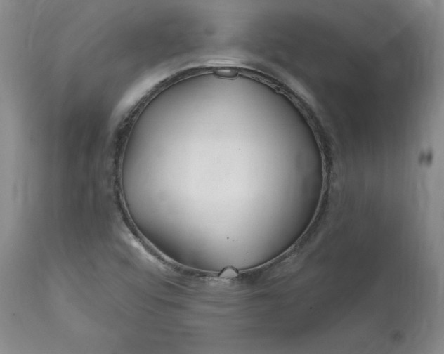 X0000112801456200909111224