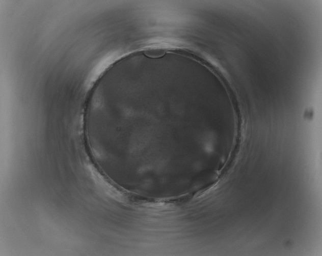 X0000112801459200909111224