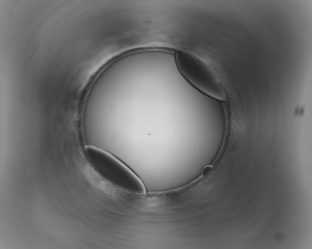 X0000112801460200909111224